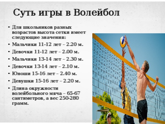 Суть игры в Волейбол Для школьников разных возрастов высота сетки имеет следующие значения: Мальчики 11-12 лет – 2.20 м. Девочки 11-12 лет – 2.00 м. Мальчики 13-14 лет – 2.30 м. Девочки 13-14 лет – 2.10 м. Юноши 15-16 лет – 2.40 м. Девушки 15-16 лет – 2.20 м. Длина окружности волейбольного мяча – 65-67 сантиметров, а вес 250-280 грамм. 