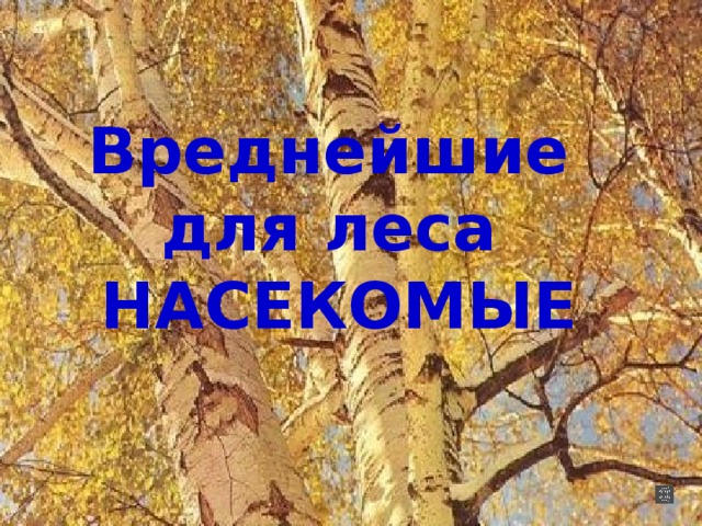 Вреднейшие  для леса  НАСЕКОМЫЕ 