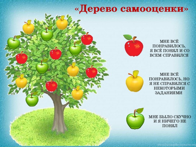 «Дерево самооценки» МНЕ ВСЁ ПОНРАВИЛОСЬ,  Я ВСЁ ПОНЯЛ И СО ВСЕМ СПРАВИЛСЯ МНЕ ВСЁ ПОНРАВИЛОСЬ, НО  Я НЕ СПРАВИЛСЯ С НЕКОТОРЫМИ ЗАДАНИЯМИ  МНЕ БЫЛО СКУЧНО И Я НИЧЕГО НЕ ПОНЯЛ 