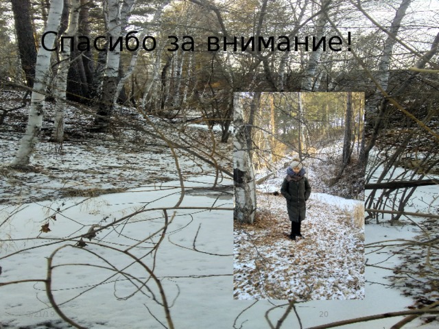 Спасибо за внимание! 3/21/19  
