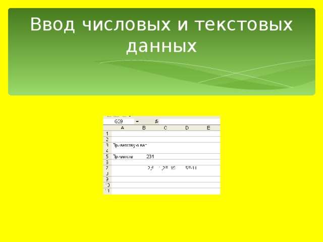 Ввод числовых и текстовых данных 