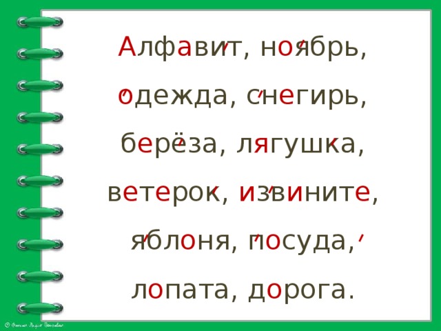А лф а вит, н о ябрь, о дежда, сн е гирь, б е рёза, л я гушка, в е т е рок, и зв и нит е , ябл о ня, п о суда, л о пата, д о рога.