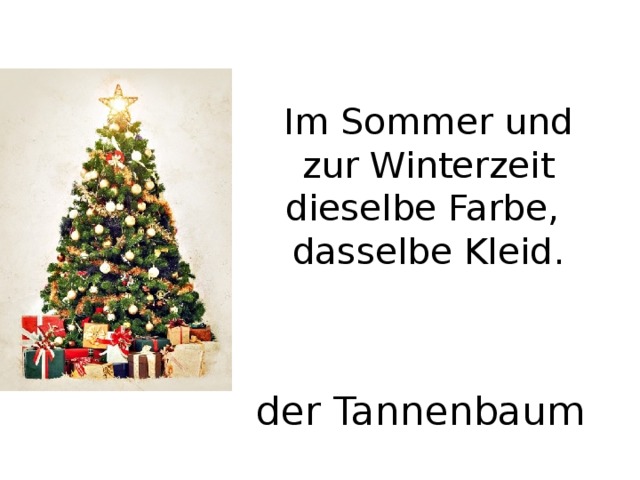 Im Sommer und zur Winterzeit  dieselbe Farbe,  dasselbe Kleid. der Tannenbaum 