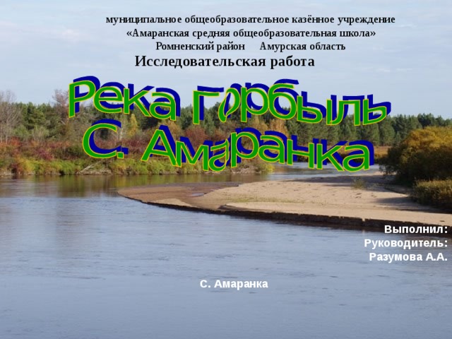 муниципальное общеобразовательное казённое учреждение «Амаранская средняя общеобразовательная школа» Ромненский район Амурская область Исследовательская работа Выполнил: Руководитель: Разумова А.А.  С. Амаранка 