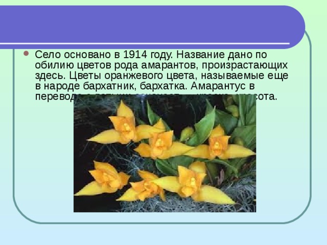 Село основано в 1914 году. Название дано по обилию цветов рода амарантов, произрастающих здесь. Цветы оранжевого цвета, называемые еще в народе бархатник, бархатка. Амарантус в переводе с латыни означает — краска, красота. 