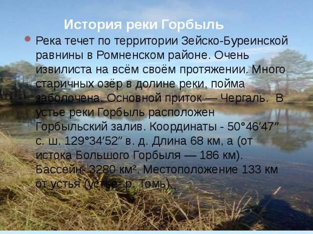 История реки Горбыль Река течет по территории Зейско-Буреинской равнины в Ромненском районе. Очень извилиста на всём своём протяжении. Много старичных озёр в долине реки, пойма заболочена. Основной приток — Чергаль. В устье реки Горбыль расположен Горбыльский залив. Координаты - 50°46′47″ с. ш. 129°34′52″ в. д. Длина 68 км, а (от истока Большого Горбыля — 186 км). Бассейн- 3280 км². Местоположение 133 км от устья (устье- р. Томь). 