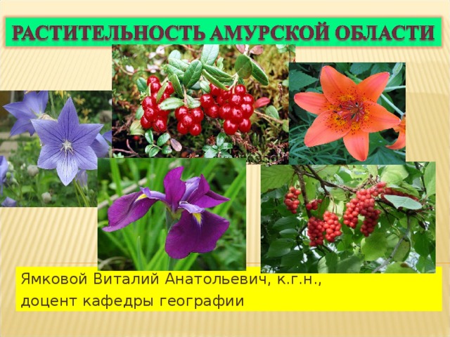 Ямковой Виталий Анатольевич, к.г.н., доцент кафедры географии 