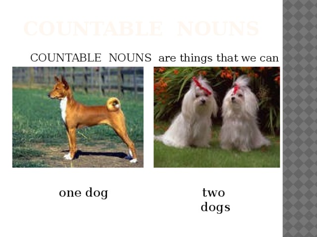 СOUNTABLE NOUNS СOUNTABLE NOUNS are things that we can count. one dog two dogs  