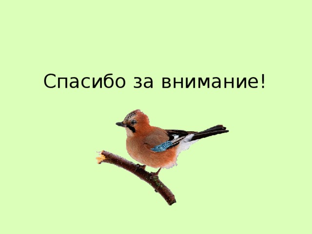 Спасибо за внимание! 