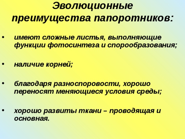 Эволюционные преимущества папоротников:   имеют сложные листья, выполняющие функции фотосинтеза и спорообразования;  наличие корней;  благодаря разноспоровости, хорошо переносят меняющиеся условия среды;  хорошо развиты ткани – проводящая и основная. 