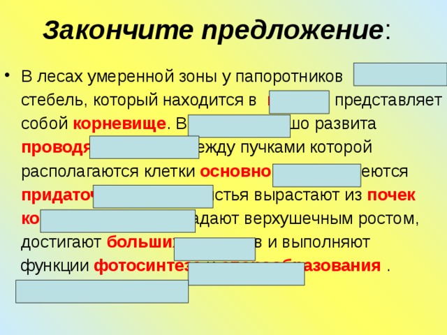 Закончите предложение : В лесах умеренной зоны у папоротников короткий стебель, который находится в почке и представляет собой корневище . В стебле хорошо развита проводящая ткань, между пучками которой располагаются клетки основной ткани; имеются придаточные корни. Листья вырастают из почек корневища ; они обладают верхушечным ростом, достигают больших размеров и выполняют функции фотосинтеза и спорообразования .            