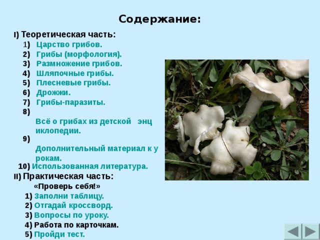 Содержание: I)  Теоретическая часть:  1 ) Царство грибов.  2) Грибы (морфология).  3) Размножение грибов.  4) Шляпочные грибы.  5) Плесневые грибы.  6) Дрожжи.  7) Грибы-паразиты.  8) Всё о грибах из детской   энциклопедии.  9) Дополнительный материал к урокам.  10) Использованная литература. II) Практическая часть:  «Проверь себя!»  1) Заполни таблицу.  2) Отгадай кроссворд.  3) Вопросы по уроку.  4) Работа по карточкам.  5) Пройди тест. 