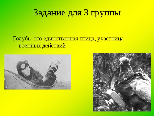 Задание для 3 группы Голубь- это единственная птица, участница военных действий 