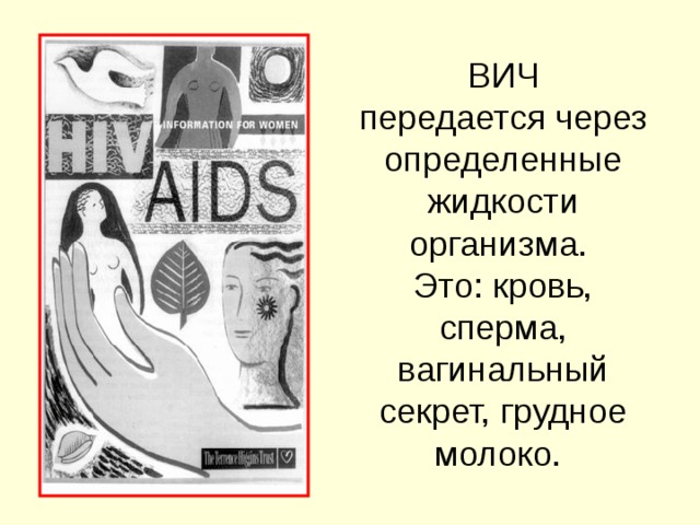 ВИЧ передается через определенные жидкости организма. Это: кровь, сперма, вагинальный секрет, грудное молоко.