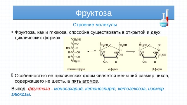 Фруктоза Строение молекулы Фруктоза, как и глюкоза, способна существовать в открытой и двух циклических формах: Особенностью её циклических форм является меньший размер цикла, содержащего не шесть, а пять атомов . Вывод: фруктоза - моносахарид, кетоноспирт, кетогексоза, изомер глюкозы. 