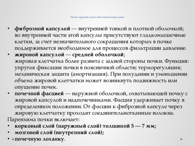   Почка окружена тремя оболочками (капсулами): фиброзной капсулой  — внутренней тонкой и плотной оболочкой;    во внутренней части этой капсулы присутствуют гладкомышечные клетки, за счет незначительного сокращения которых в почке поддерживается необходимое для процессов фильтрации давление.  жировой капсулой  —  средней оболочкой ;  жировая клетчатка более развита с задней стороны почки. Функция: упругая фиксация почки в поясничной области; терморегуляция; механическая защита (амортизация). При похудании и уменьшении объема жировой клетчатки может возникнуть подвижность или опущение почек. почечной фасцией  — наружной оболочкой, охватывающей почку с жировой капсулой и надпочечниками. Фасция удерживает почку в определенном положении. От фасции к фиброзной капсуле через жировую клетчатку проходят соединительнотканные волокна. Паренхима почки включает: корковый слой (наружный слой) толщиной 5 — 7 мм; мозговой слой (внутренний слой); почечную лоханку . 