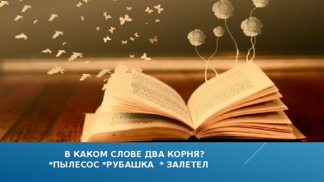   в каком слове два корня?  *пылесос *рубашка * залетел 