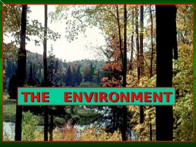 THE ENVIRONMENT  