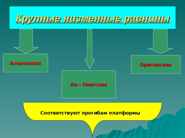 Крупные низменные равнины Амазонская Оринокская Ла - Платская Соответствуют прогибам платформы 