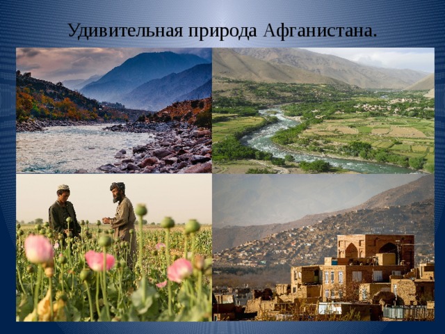 Удивительная природа Афганистана. 