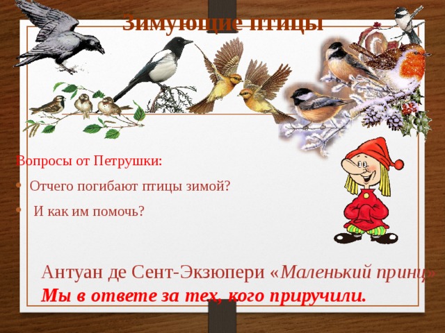 Зимующие птицы Вопросы от Петрушки: Отчего погибают птицы зимой?  И как им помочь? Антуан де Сент-Экзюпери « Маленький принц »  Мы в ответе за тех, кого приручили.  