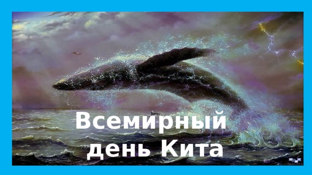 Всемирный день Кита 