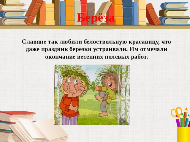 Берёза  Славяне так любили белоствольную красавицу, что даже праздник березки устраивали. Им отмечали окончание весенних полевых работ. 