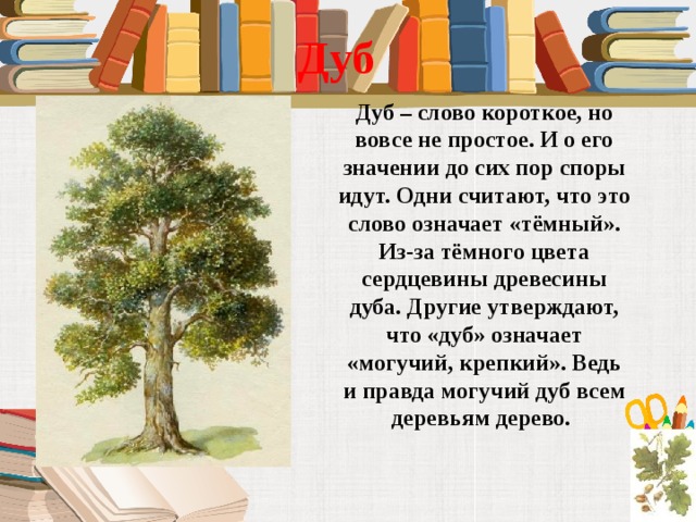 Дуб Дуб – слово короткое, но вовсе не простое. И о его значении до сих пор споры идут. Одни считают, что это слово означает «тёмный». Из-за тёмного цвета сердцевины древесины дуба. Другие утверждают, что «дуб» означает «могучий, крепкий». Ведь и правда могучий дуб всем деревьям дерево. 