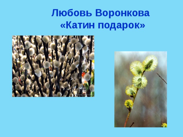 Любовь Воронкова  «Катин подарок» 