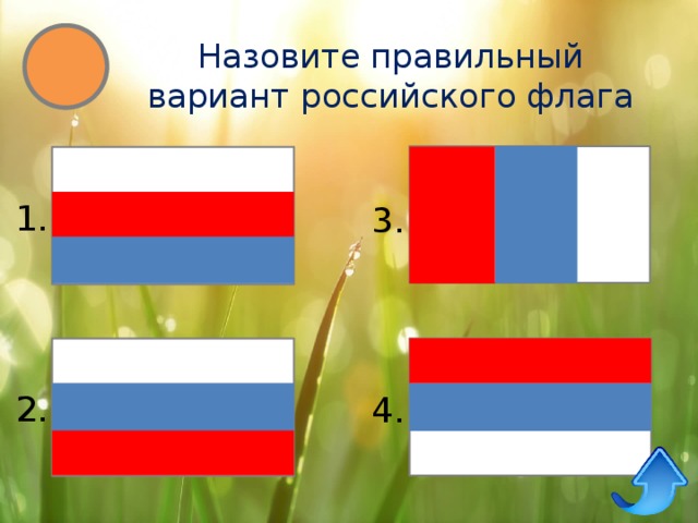 Назовите правильный вариант российского флага 1. 3. 2. 4. 