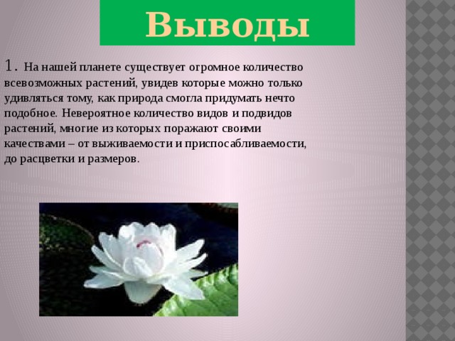 Выводы 1. На нашей планете существует огромное количество всевозможных растений, увидев которые можно только удивляться тому, как природа смогла придумать нечто подобное. Невероятное количество видов и подвидов растений, многие из которых поражают своими качествами – от выживаемости и приспосабливаемости, до расцветки и размеров. 