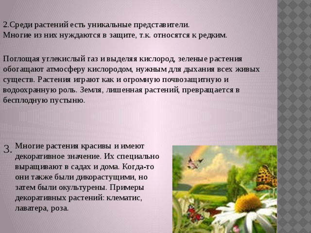 2.Среди растений есть уникальные представители. Многие из них нуждаются в защите, т.к. относятся к редким. Поглощая углекислый газ и выделяя кислород, зеленые растения обогащают атмосферу кислородом, нужным для дыхания всех живых существ. Растения играют как и огромную почвозащитную и водоохранную роль. Земля, лишенная растений, превращается в бесплодную пустыню. Многие растения красивы и имеют декоративное значение. Их специально выращивают в садах и дома. Когда-то они также были дикорастущими, но затем были окультурены. Примеры декоративных растений: клематис, лаватера, роза. 3. 