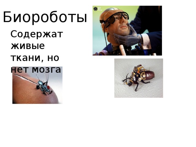 Биороботы Содержат живые ткани, но нет мозга  