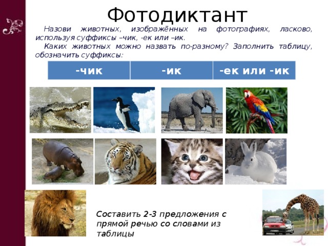 Фотодиктант Назови животных, изображённых на фотографиях, ласково, используя суффиксы – чик, -ек или – ик. Каких животных можно назвать по-разному? Заполнить таблицу, обозначить суффиксы: -чик -ик -ек или -ик Составить 2-3 предложения с прямой речью со словами из таблицы 
