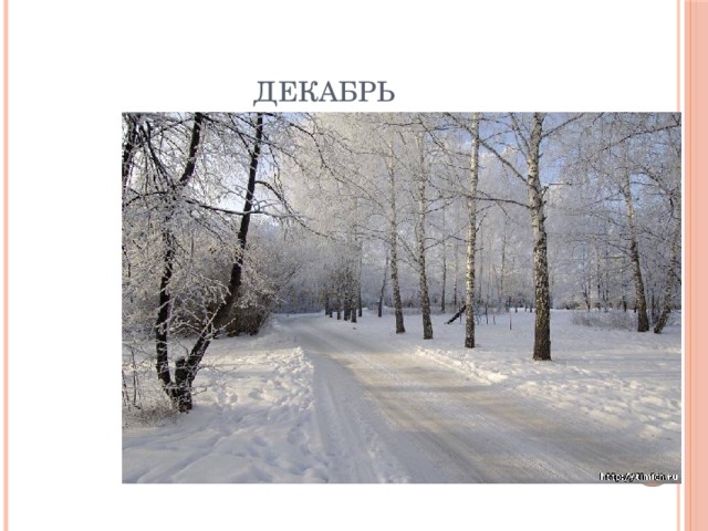 Декабрь 