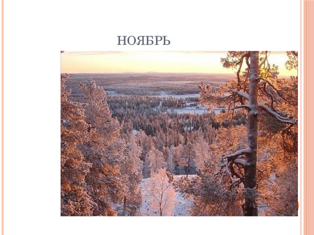 Ноябрь 