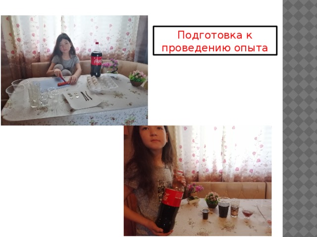 Подготовка к проведению опыта 