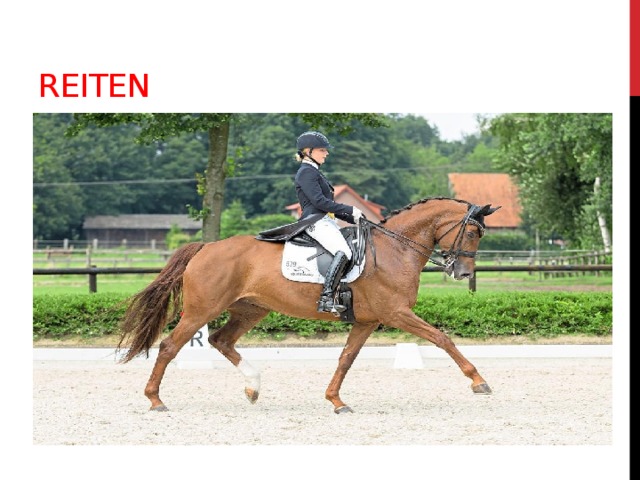 reiten 