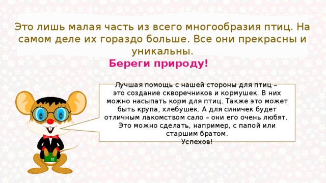 Это лишь малая часть из всего многообразия птиц. На самом деле их гораздо больше. Все они прекрасны и уникальны.  Береги природу! Лучшая помощь с нашей стороны для птиц – это создание скворечников и кормушек. В них можно насыпать корм для птиц. Также это может быть крупа, хлебушек. А для синичек будет отличным лакомством сало – они его очень любят. Это можно сделать, например, с папой или старшим братом. Успехов! 