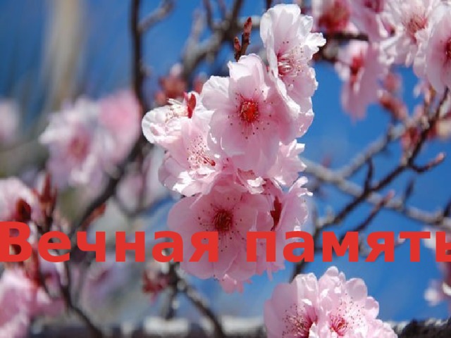 Вечная память! 