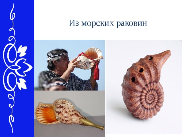 Из морских раковин 