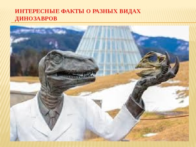 ИНТЕРЕСНЫЕ ФАКТЫ О РАЗНЫХ ВИДАХ ДИНОЗАВРОВ 