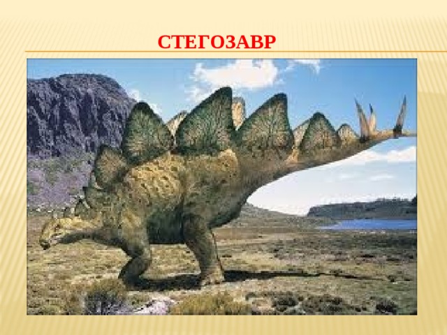 СТЕГОЗАВР 