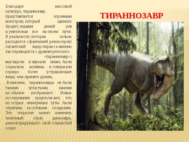 Благодаря массовой культуре, тираннозавр представляется огромным монстром, который одиноко бродит, издавая дикий рев и уничтожая все на своем пути. В реальности (которая сильно расходится с фантазией режиссеров) гигантский ящер-тиран (а именно так переводится с древнегреческого  «тираннозавр») выглядели и звучали иначе, были социально активны и совершали гораздо более устрашающие вещи, чем принято думать.   Возможно, тираннозавры не были такими зубастыми, какими их обычно изображают. Новые исследования предполагают, что их острые жемчужные зубы были спрятаны за губными складками. Это открытие может изменить типичный образ динозавра, демонстрирующего свой клыкастый оскал. ТИРАННОЗАВР 