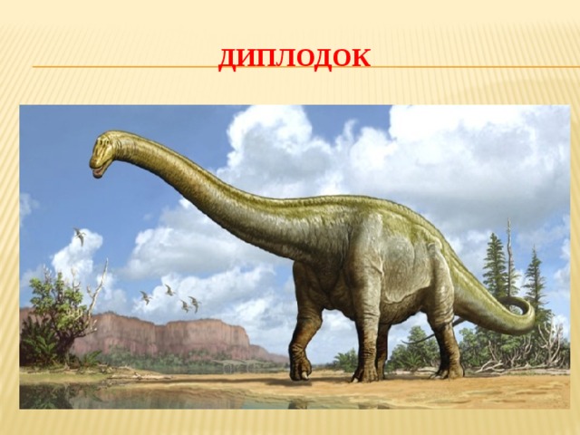 ДИПЛОДОК 