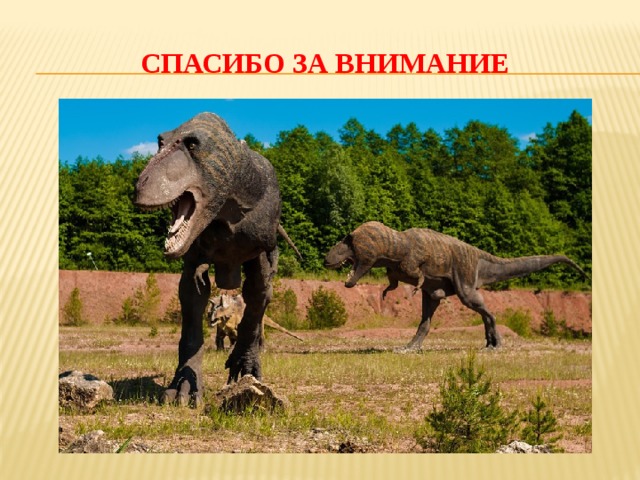 Спасибо за внимание 
