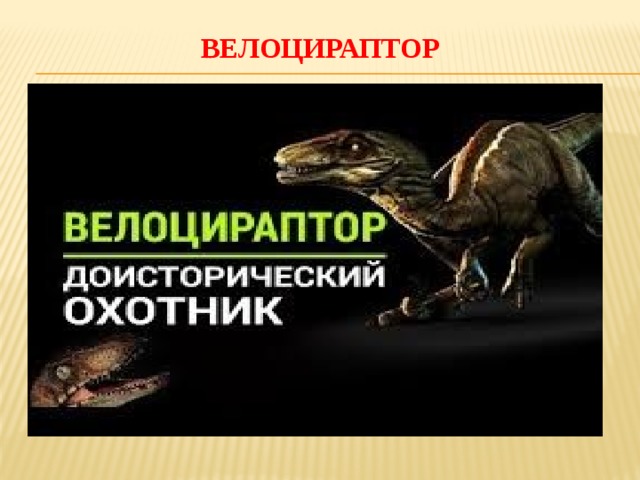 ВЕЛОЦИРАПТОР 