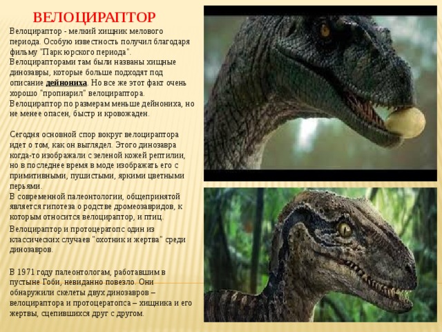 Велоцираптор Велоцираптор - мелкий хищник мелового периода. Особую известность получил благодаря фильму 