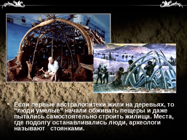 Если первые австралопитеки жили на деревьях, то “люди умелые” начали обживать пещеры и даже пытались самостоятельно строить жилища. Места, где подолгу останавливались люди, археологи называют стоянками.  
