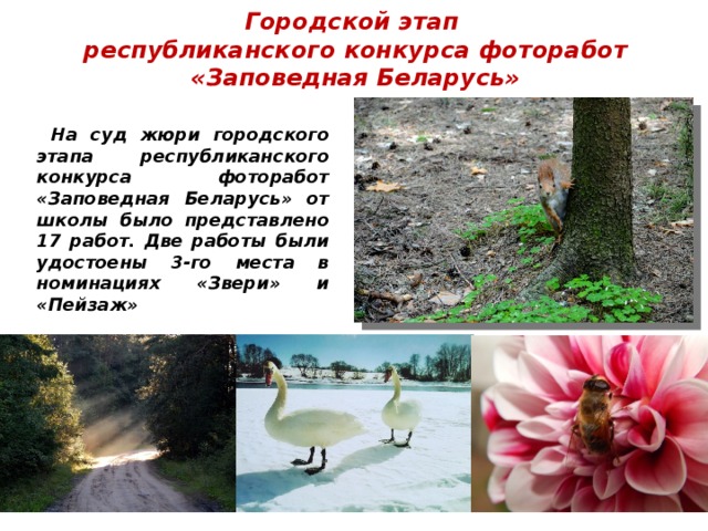 Городской этап  республиканского конкурса фоторабот  «Заповедная Беларусь»   На суд жюри городского этапа республиканского конкурса фоторабот «Заповедная Беларусь» от школы было представлено 17 работ. Две работы были удостоены 3-го места в номинациях «Звери» и «Пейзаж» 